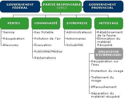 org_chart-fr